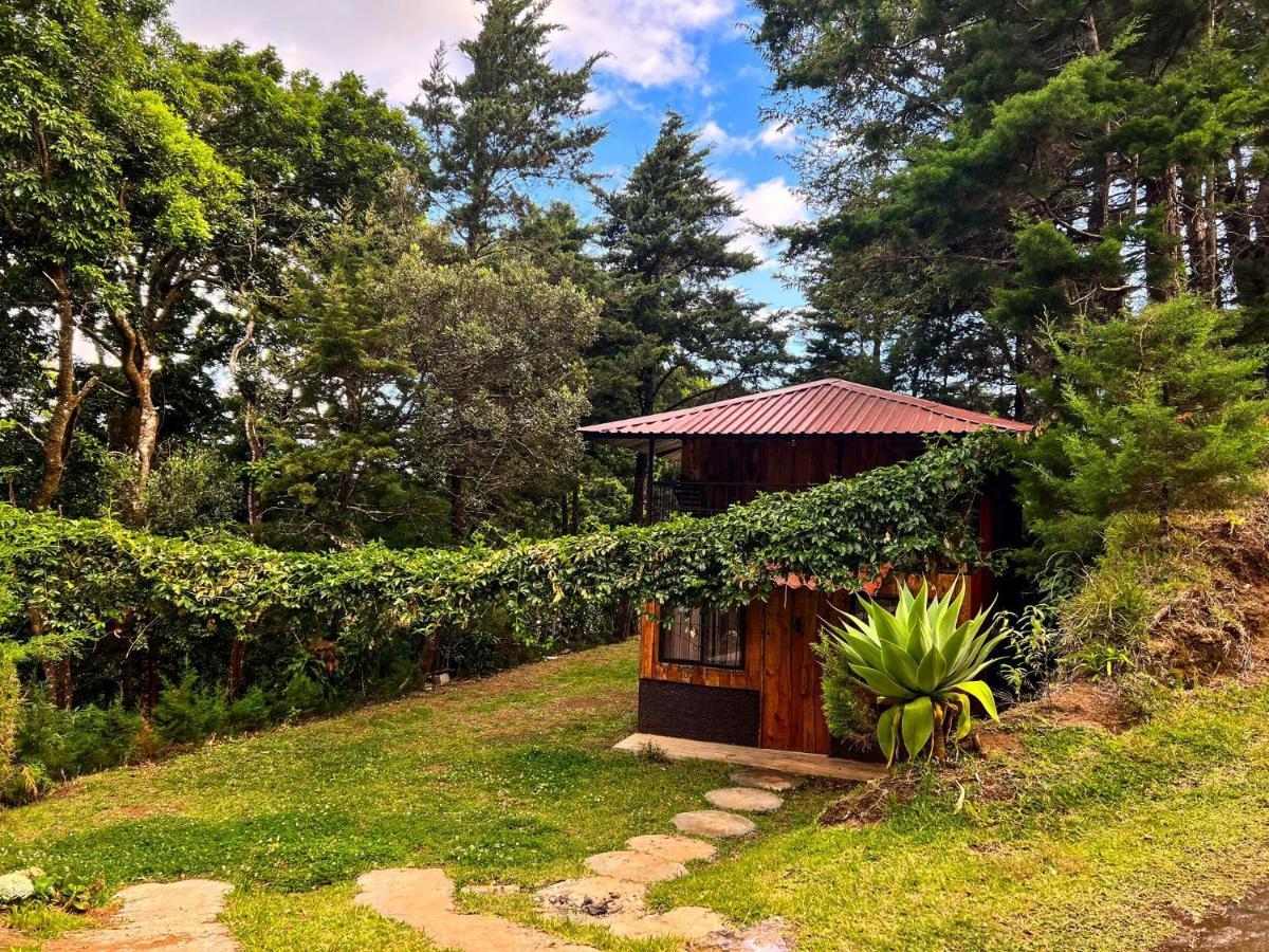 Cabanas Queca! Poas Eksteriør billede