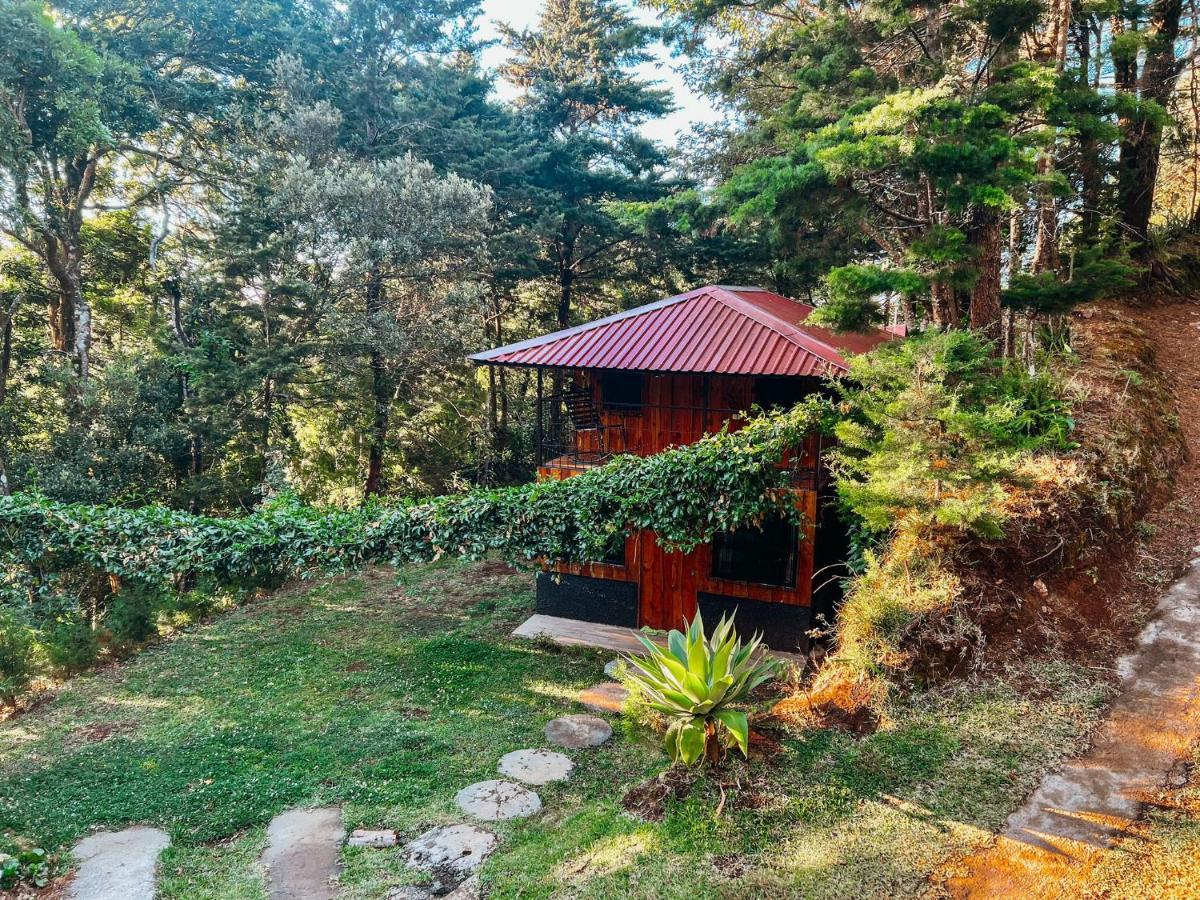 Cabanas Queca! Poas Eksteriør billede